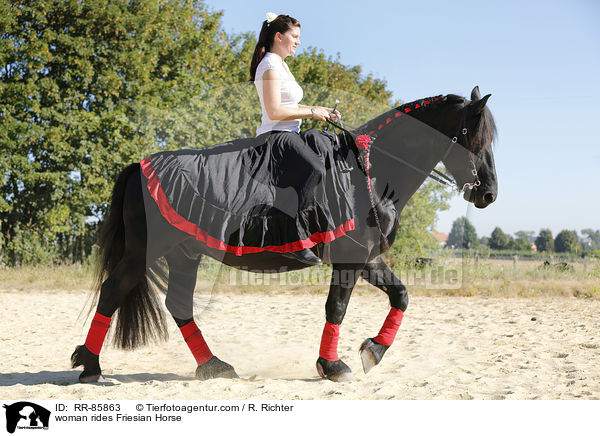woman rides Friesian Horse / RR-85863
