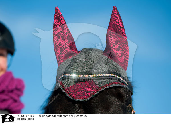 Friese / Friesian Horse / NS-04467