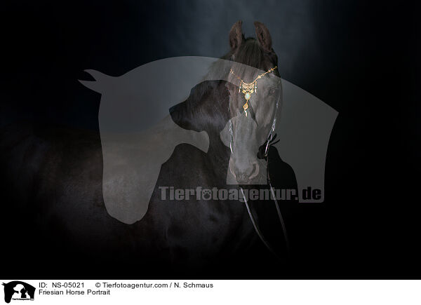 Friesian Horse Portrait / NS-05021