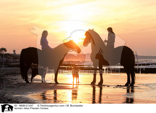 women rides Friesian horses / MAB-01297