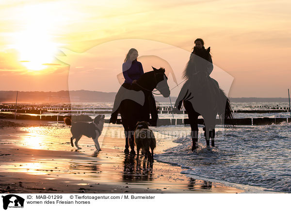 women rides Friesian horses / MAB-01299