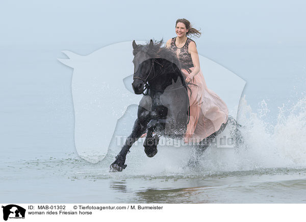 Frau reitet Friese / woman rides Friesian horse / MAB-01302