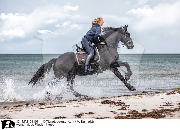 Frau reitet Friese / woman rides Friesian horse / MAB-01307