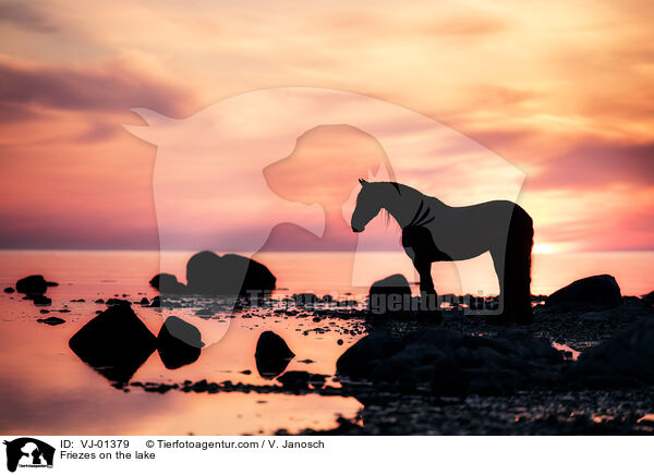 Friese am See / Friezes on the lake / VJ-01379