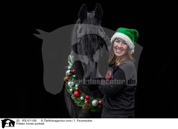 Frisian horse portrait / IFE-01106