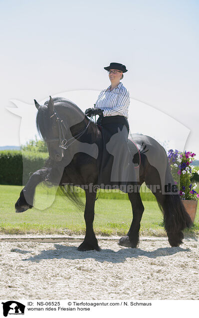 Frau reitet Friese / woman rides Friesian horse / NS-06525