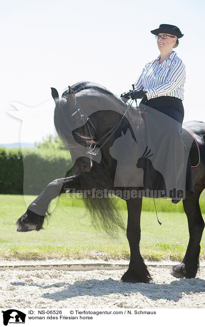 Frau reitet Friese / woman rides Friesian horse / NS-06526