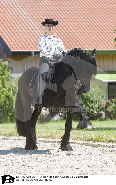 Frau reitet Friese / woman rides Friesian horse / NS-06529