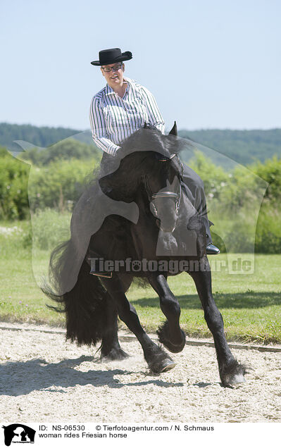 Frau reitet Friese / woman rides Friesian horse / NS-06530