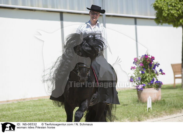 Frau reitet Friese / woman rides Friesian horse / NS-06532