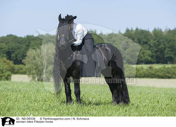Frau reitet Friese / woman rides Friesian horse / NS-06536