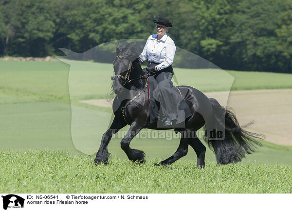 Frau reitet Friese / woman rides Friesian horse / NS-06541