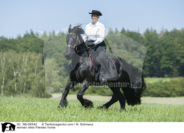 Frau reitet Friese / woman rides Friesian horse / NS-06542