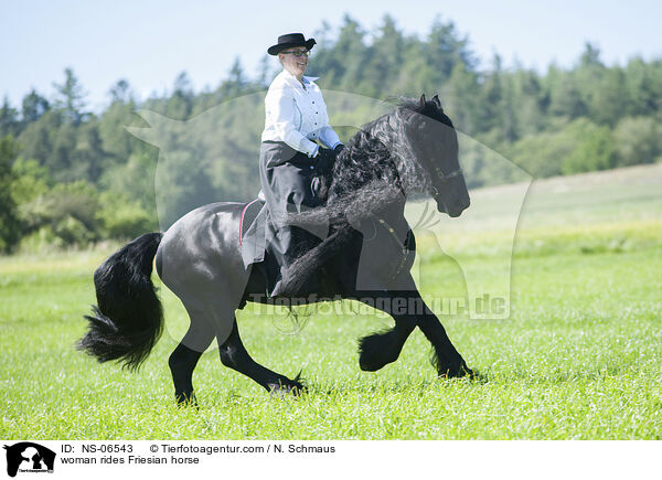 Frau reitet Friese / woman rides Friesian horse / NS-06543
