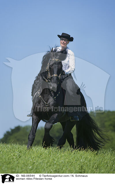 Frau reitet Friese / woman rides Friesian horse / NS-06544