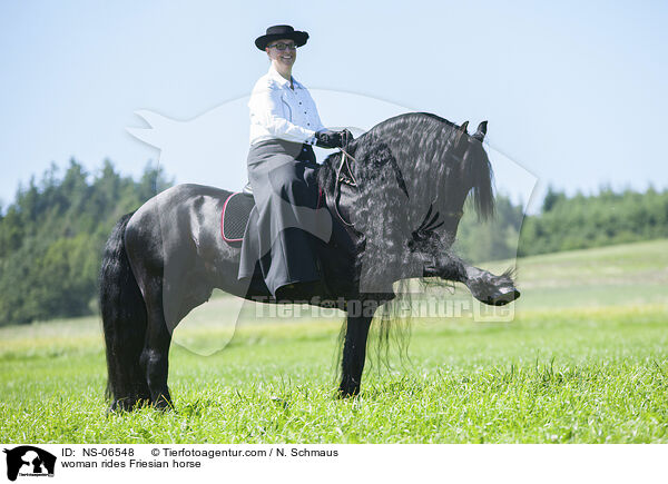 Frau reitet Friese / woman rides Friesian horse / NS-06548