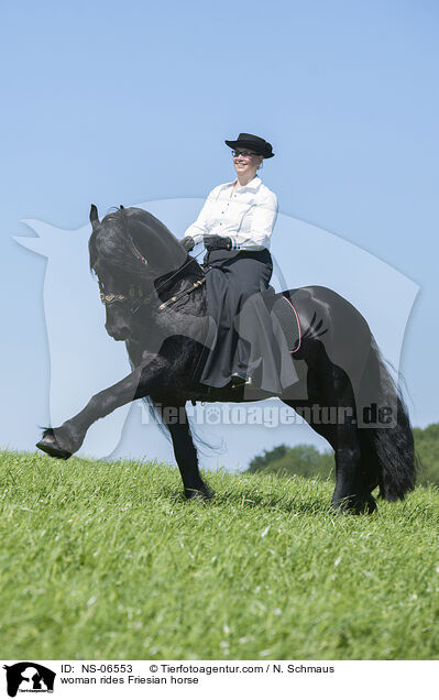 Frau reitet Friese / woman rides Friesian horse / NS-06553