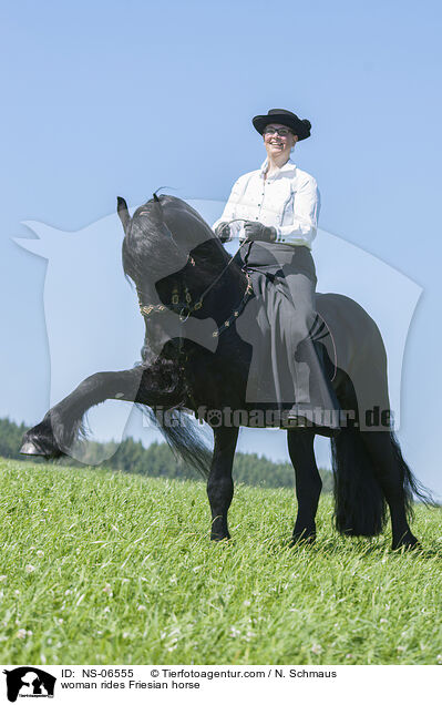 Frau reitet Friese / woman rides Friesian horse / NS-06555