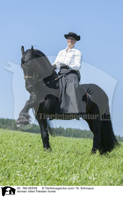 Frau reitet Friese / woman rides Friesian horse / NS-06556