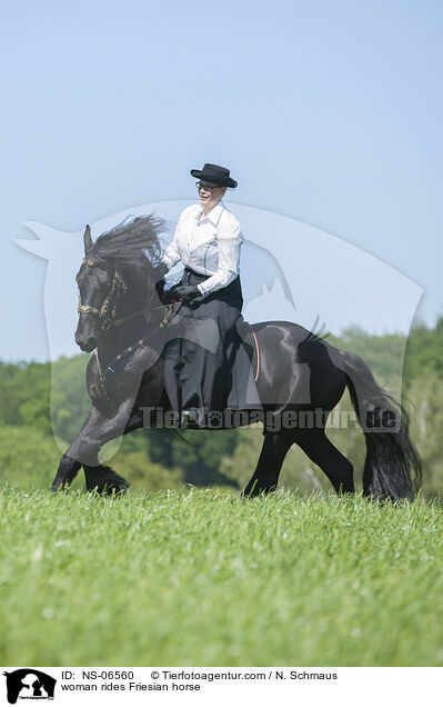 Frau reitet Friese / woman rides Friesian horse / NS-06560