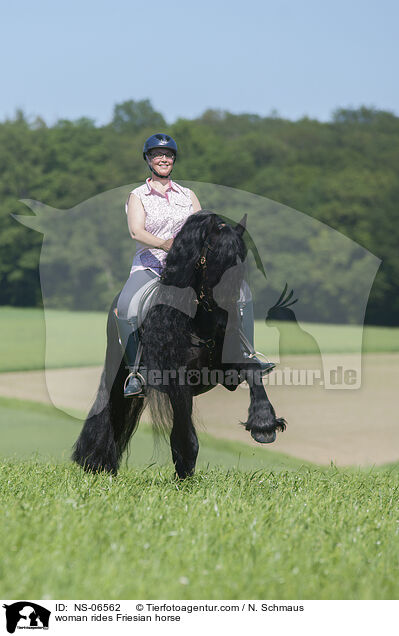 Frau reitet Friese / woman rides Friesian horse / NS-06562