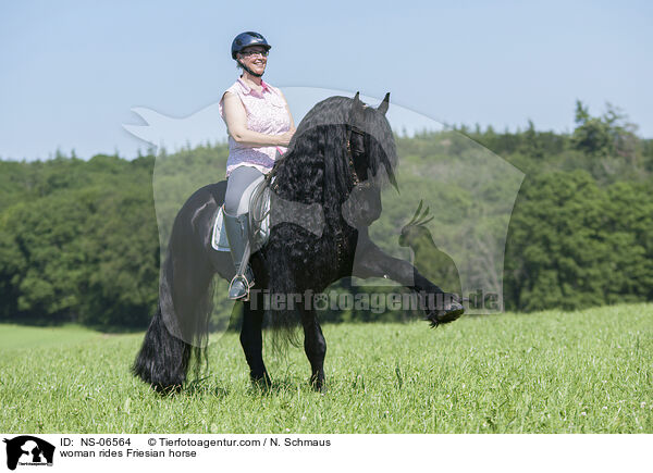 Frau reitet Friese / woman rides Friesian horse / NS-06564