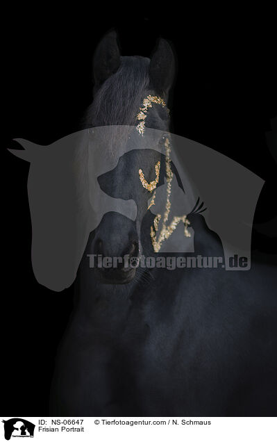 Friese Portrait / Frisian Portrait / NS-06647