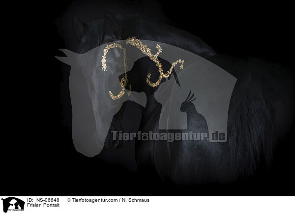 Friese Portrait / Frisian Portrait / NS-06648