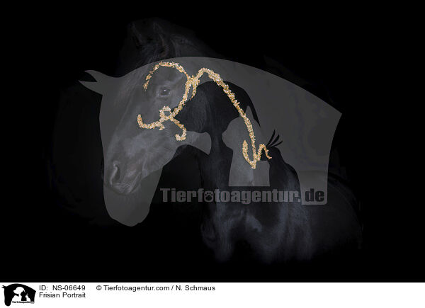 Friese Portrait / Frisian Portrait / NS-06649