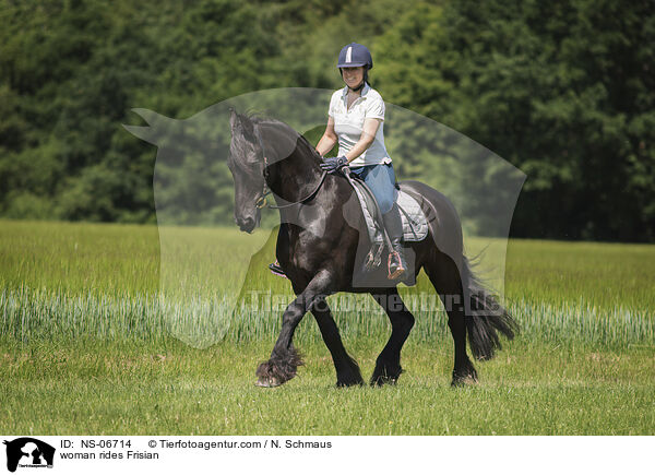 woman rides Frisian / NS-06714