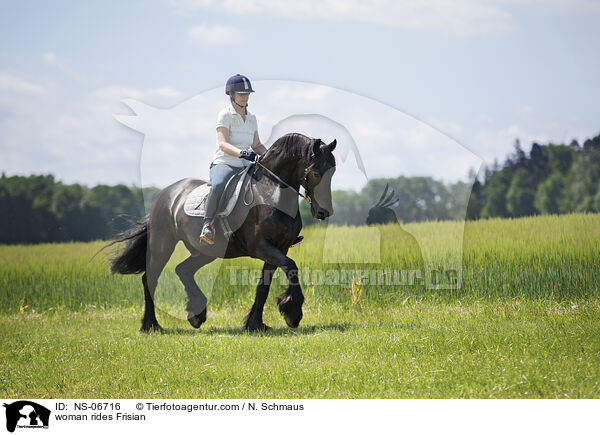 Frau reitet Friese / woman rides Frisian / NS-06716