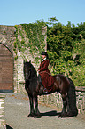 Friesian horse with horsewoman