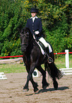 frisian horse at dressage