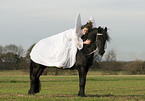 angel and friesian horse