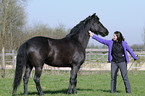 woman and Friesian horse