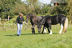 woman with horses