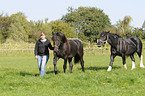 woman with horses