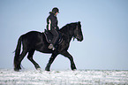 rider with Frisian horse