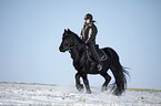 rider with Frisian horse