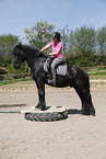 Frisian horse on pedestal