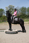 Frisian horse on pedestal