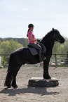 Frisian horse on pedestal