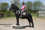 Frisian horse on pedestal