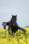 woman rides Frisian horse