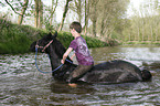 boy rides Frisian horse