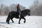 woman rides Frisian horse