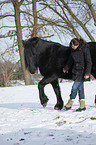 woman and Frisian horse