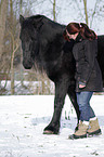 woman and Frisian horse