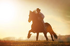 man rides Frisian horse