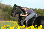 woman rides Frisian horse